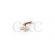 CHICOTE ADAP TRAFO ENTR PLACA NSF DABI