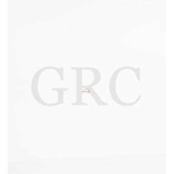 ARRUELA PRESSAO MICROMOTOR GNATUS