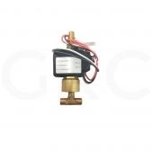 KIT VALVULA SOLENOIDE AUTOCLAVE 100/220V 19W