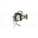 KIT VALVULA SOLENOIDE AUTOCLAVE 100/220V 19W