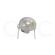 CABECOTE COMPLETO P/ REFLETOR CAD. GNATUS PERSUS L