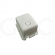 CAIXA LIGACAO EQUIPO INTEGRADO GNATUS
