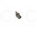TERMINAL DUPLO BORDEN SEM SPRAY P/ MM