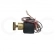 KIT VALVULA SOLENOIDE AUTOCLAVE 100/220V 19W