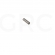 EIXO PINCA DENTFLEX IMPACT 1S PB 10,5 MM 10,5MM