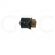 VALVULA SOLENOIDE ULTRASSOM ALT BIVOLT 24V 6W
