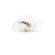 CHICOTE ADAP TRAFO ENTR PLACA NSF DABI